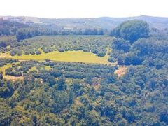 Rare Lowveld Lifestyle Farm with Luxury Boutique Lodge