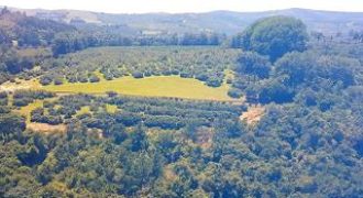 Rare Lowveld Lifestyle Farm with Luxury Boutique Lodge