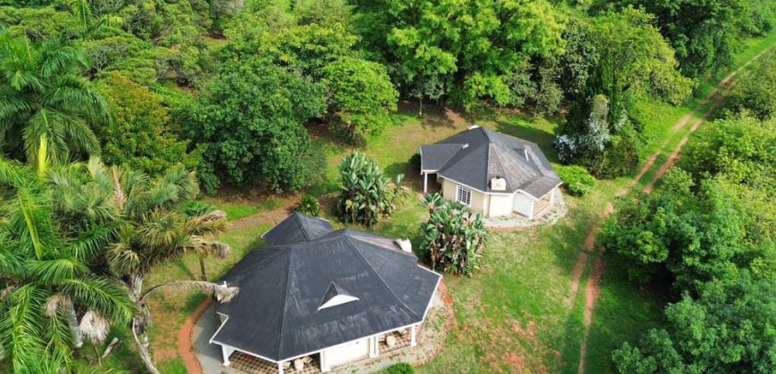 Rare Lowveld Lifestyle Farm with Luxury Boutique Lodge Rare Lowveld Lifestyle Farm with Luxury Boutique Lodge